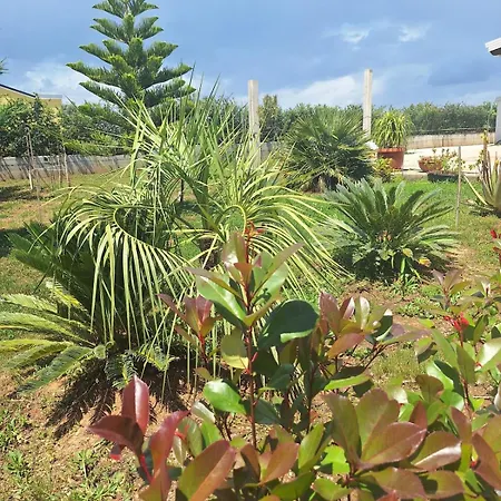 Sweet Garden Apartament Marconia